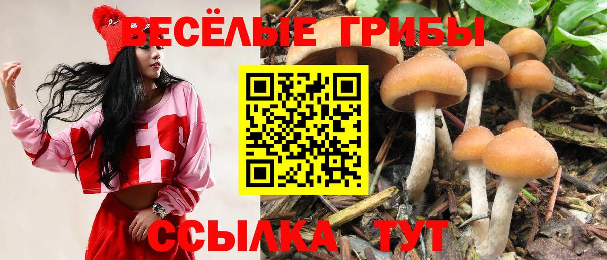 Псилоцибиновые грибы Cubensis  Вход с VPN  Петропавловск-Камчатский 